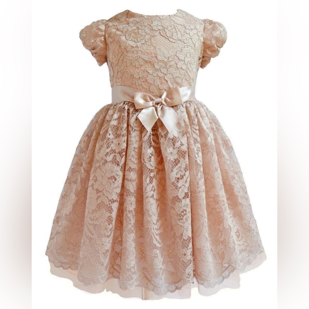 Bonnie Jean Girls Size 5 Taupe Blush Bow Embroidered Lace Floral Ballerina Dress